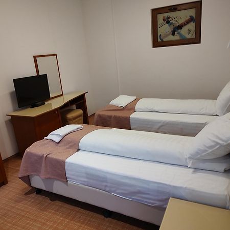 Hotel Dana 2 Satu Mare Zewnętrze zdjęcie